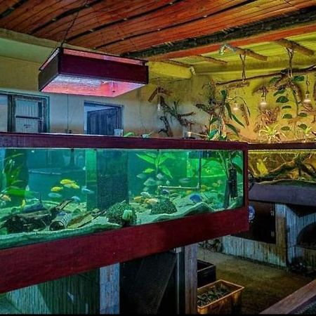 Recanto Villas Boas Ubatuba Kültér fotó
