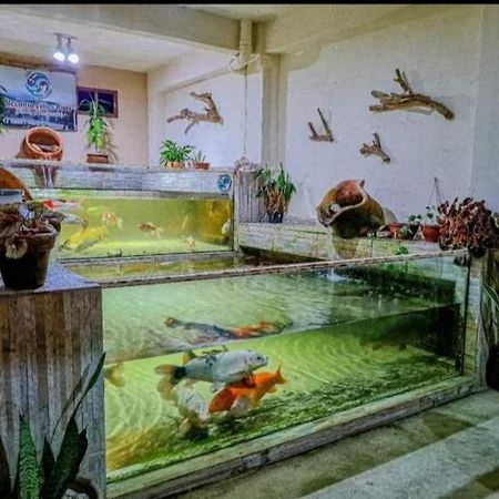Recanto Villas Boas Ubatuba Kültér fotó