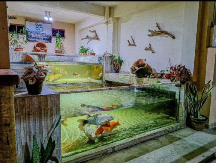 Recanto Villas Boas Ubatuba Kültér fotó